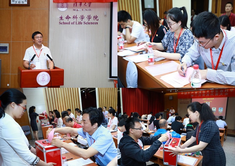 20190619-6.jpg