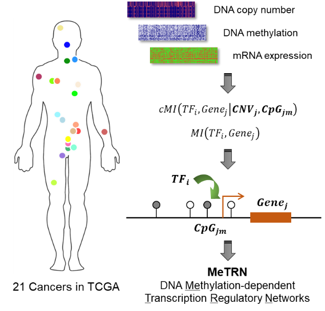 20190326-1.png