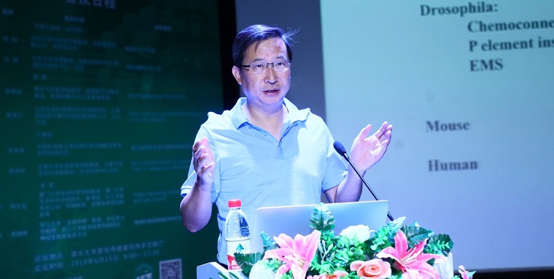20190701-1.jpg