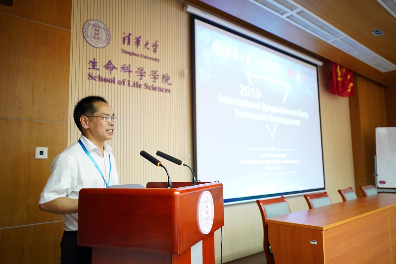 20190617-2.jpg