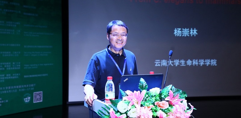 20190701-8.jpg